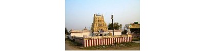 241. திருக்கச்சிநெறிக்காரைக்காடு